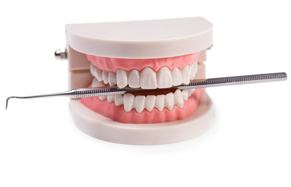 What to Do Before Your Visit